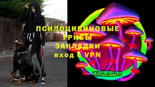 бошки Алексин