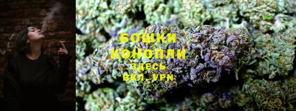 бошки Алексин