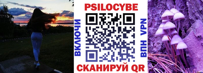Псилоцибиновые грибы прущие грибы  Богучар 